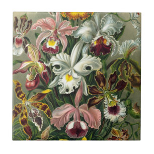 Ernst Haeckel Orchids, Vintage Rainforest Flowers Ceramic Tile