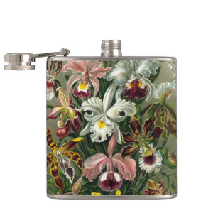 Ernst Haeckel Orchids, Vintage Rainforest Flowers Flask