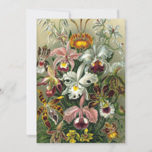Ernst Haeckel Orchids, Vintage Rainforest Flowers Invitation