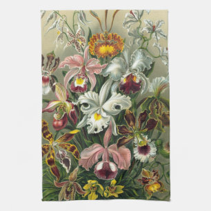 Ernst Haeckel Orchids, Vintage Rainforest Flowers Kitchen Towel