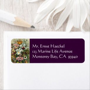 Ernst Haeckel Orchids, Vintage Rainforest Flowers Label