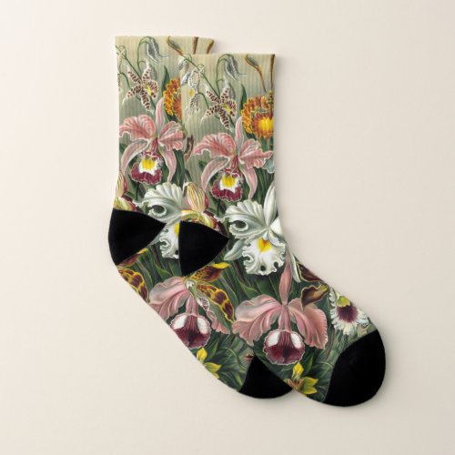 Ernst Haeckel Orchids Vintage Rainforest Flowers Socks
