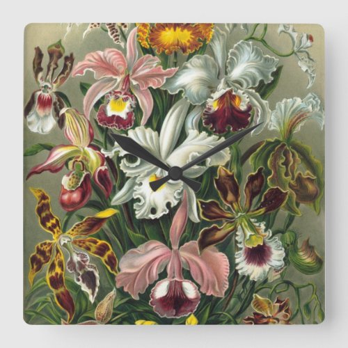 Ernst Haeckel Orchids Vintage Rainforest Flowers Square Wall Clock