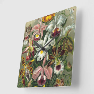Ernst Haeckel Orchids, Vintage Rainforest Flowers Square Wall Clock