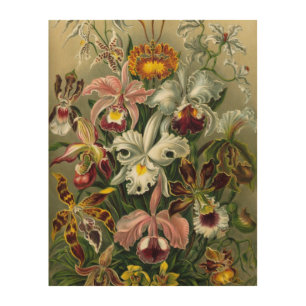 Ernst Haeckel Orchids, Vintage Rainforest Flowers Wood Wall Decor