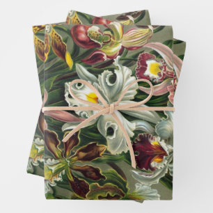 Ernst Haeckel Orchids, Vintage Rainforest Flowers Wrapping Paper Sheets