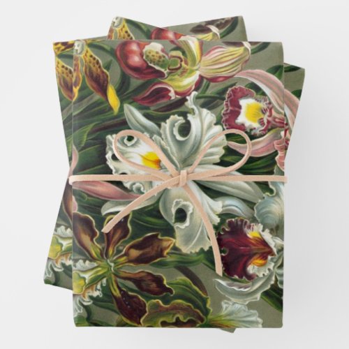 Ernst Haeckel Orchids Vintage Rainforest Flowers Wrapping Paper Sheets