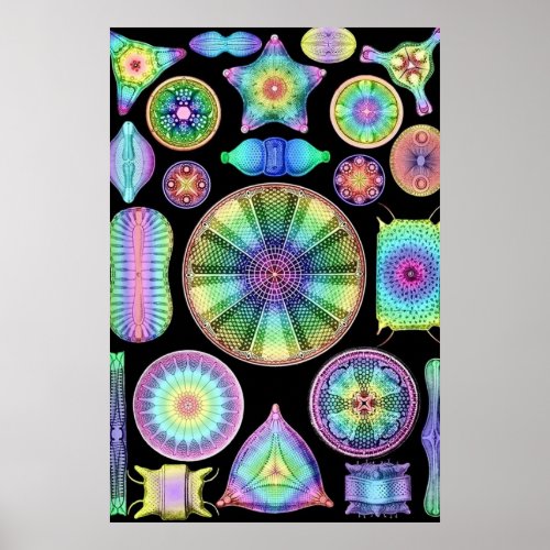 Ernst Haeckel Rainbow Diatoms Poster