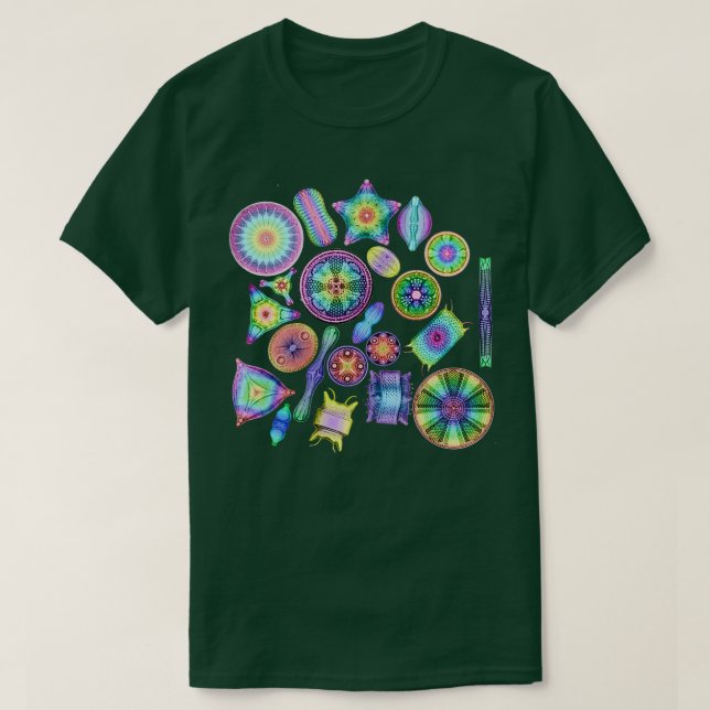 Ernst Haeckel Rainbow Diatoms Tossed T-Shirt (Design Front)