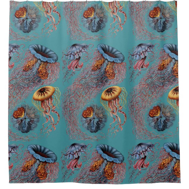 Ernst Haeckel’s Disco Medusae Shower Curtain (Front)