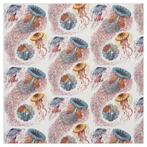 Ernst Haeckel’s Discomedusae Fabric