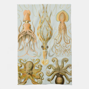 Ernst Haeckel’s Gamochonia Kitchen Towel