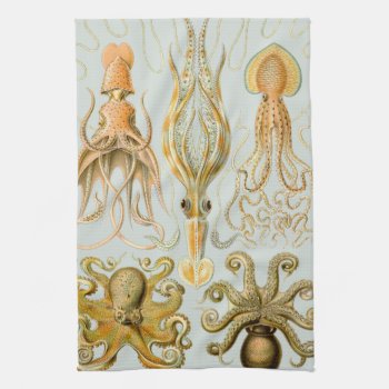 Ernst Haeckel’s Gamochonia Kitchen Towel by ThinxShop at Zazzle
