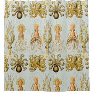 Ernst Haeckel’s Gamochonia Shower Curtain