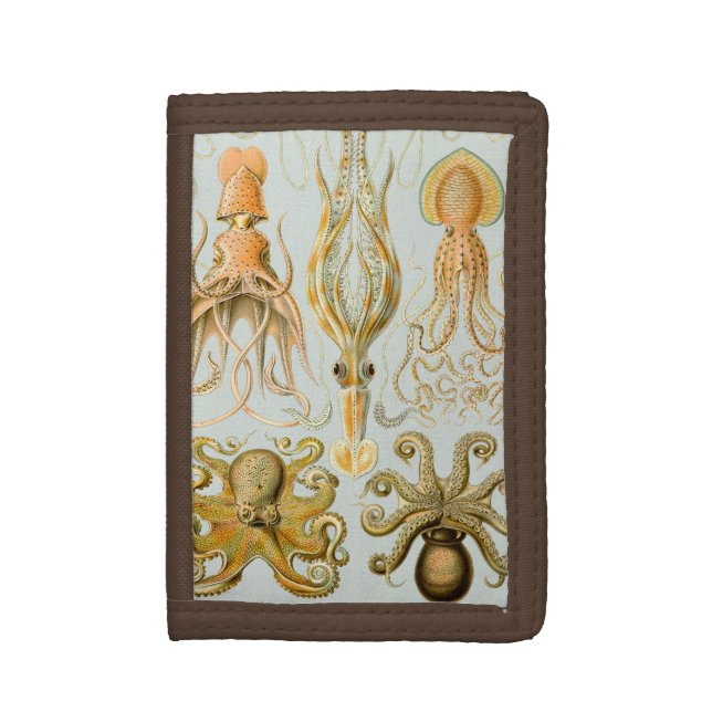 Ernst Haeckel’s Gamochonia Tri-fold Wallet (Front Vertical)