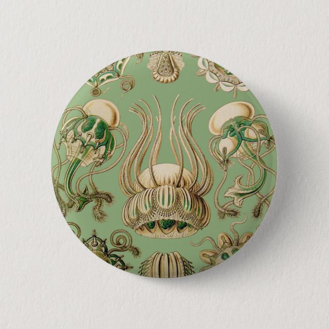 Ernst Haeckel’s Narcomedusae Button (Front)