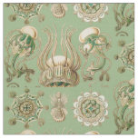 Ernst Haeckel’s Narcomedusae Fabric