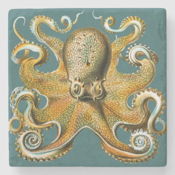 Ernst Haeckel’s Octopus Stone Coaster by ThinxShop at Zazzle