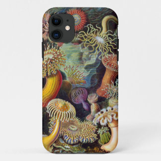 Ernst Haeckel Sea anemones iPhone 11 Case