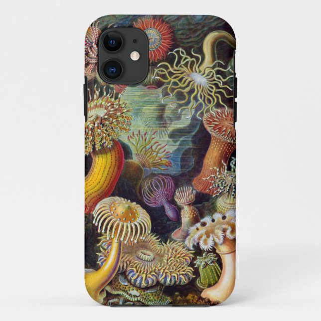 Ernst Haeckel  Sea anemones Case-Mate iPhone Case (Back)