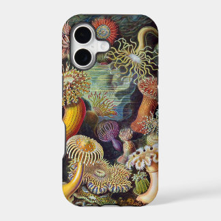 Ernst Haeckel Sea anemones iPhone 17 Case