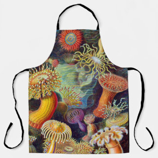 Ernst Haeckel Sea Anemones Marine:Actiniae Apron