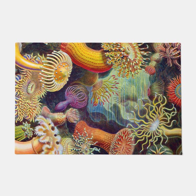 Ernst Haeckel Sea Anemones Marine:Actiniae Doormat (Front)