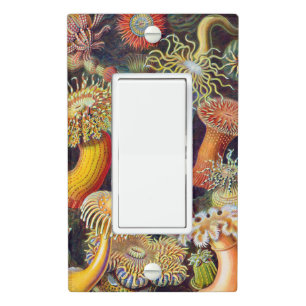 Ernst Haeckel Sea Anemones Marine:Actiniae Light Switch Cover