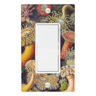 Ernst Haeckel Sea Anemones Marine:Actiniae Light Switch Cover