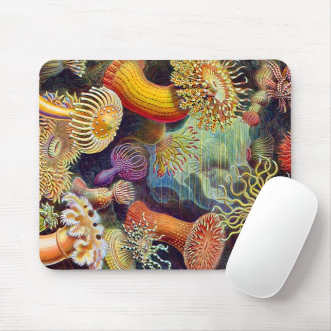 Ernst Haeckel Sea Anemones Marine:Actiniae Mouse Pad (With Mouse)