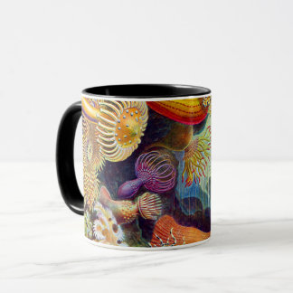 Ernst Haeckel Sea Anemones Marine:Actiniae Mug