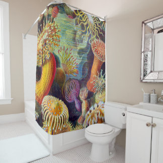 Ernst Haeckel Sea Anemones Marine:Actiniae Shower Curtain