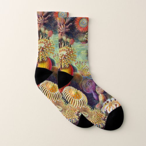 Ernst Haeckel Sea Anemones MarineActiniae Socks