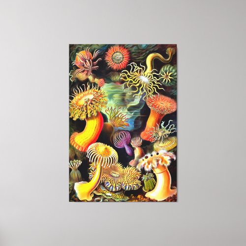 Ernst Haeckel Sea Anemones Vintage Art Canvas Print