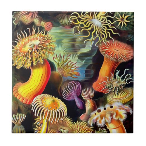 Ernst Haeckel Sea Anemones Vintage Art Tile