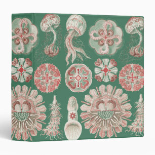 Ernst Haeckel Sea Life Pink Jellyfish Green Poster 3 Ring Binder