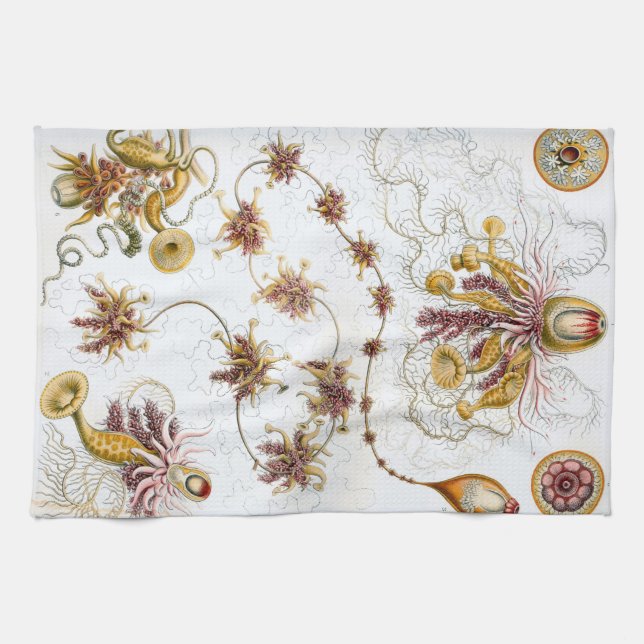 Ernst Haeckel Siphonophorae Jellyfish Kitchen Towel (Horizontal)