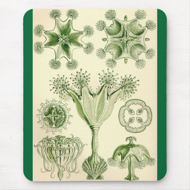 Ernst Haeckel - Stauromedusae Jellyfish Mouse Pad (Front)