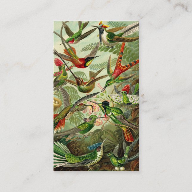 Ernst Haeckel Trochilidae Hummingbird Business Card (Front)