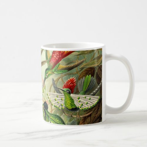Ernst Haeckel Trochilidae Hummingbird Coffee Mug