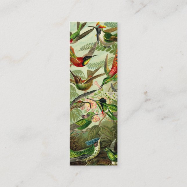 Ernst Haeckel Trochilidae Hummingbird Mini Business Card (Front)