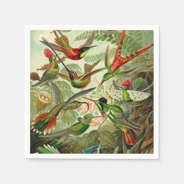 Ernst Haeckel Trochilidae Hummingbird Napkins (Front)