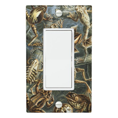 Ernst Haeckel variety of exotic frogsBatrachia Light Switch Cover