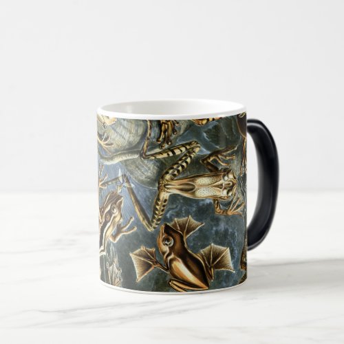 Ernst Haeckel variety of exotic frogsBatrachia Magic Mug