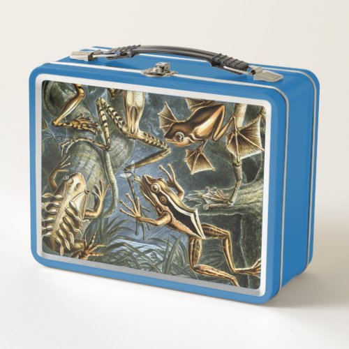 Ernst Haeckel variety of exotic frogsBatrachia Metal Lunch Box