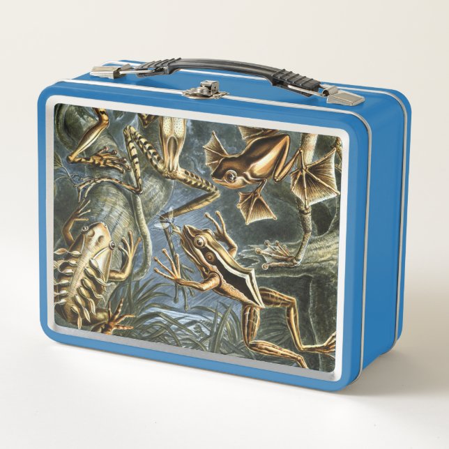 Ernst Haeckel variety of exotic frogs:Batrachia Metal Lunch Box (Front)