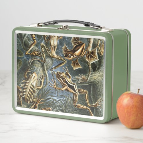 Ernst Haeckel variety of exotic frogsBatrachia Metal Lunch Box