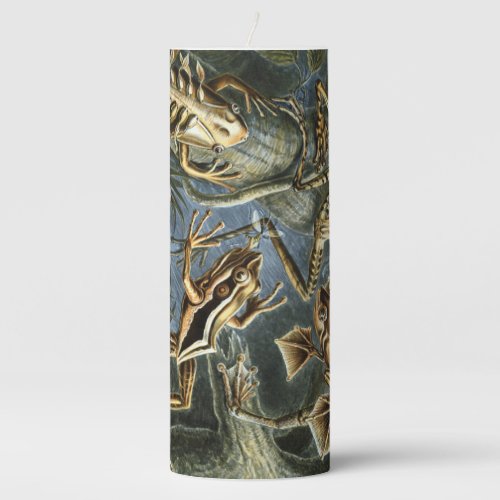 Ernst Haeckel variety of exotic frogsBatrachia Pillar Candle