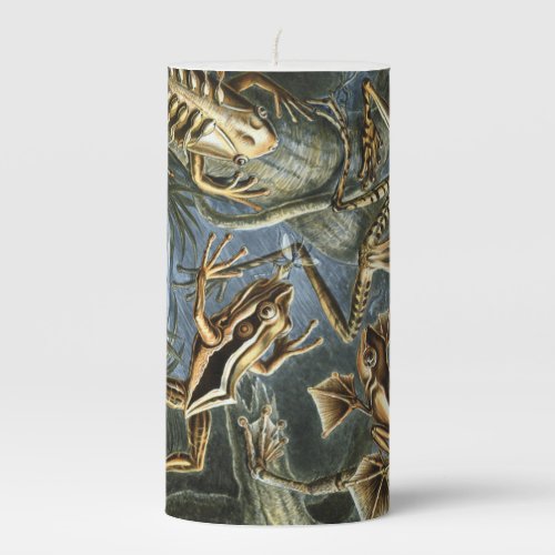 Ernst Haeckel variety of exotic frogsBatrachia Pillar Candle