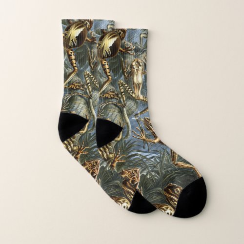 Ernst Haeckel variety of exotic frogsBatrachia Socks
